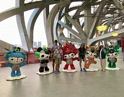 Inside the Bird Nest, 2025
